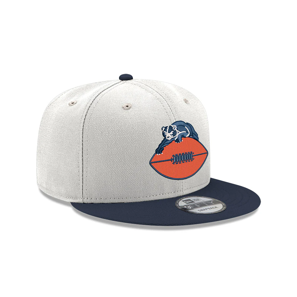 Chicago Bears Sale